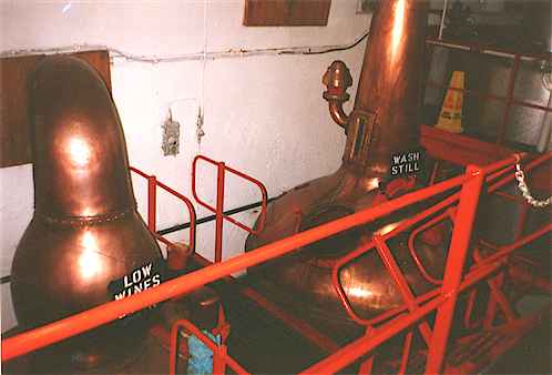 196.jpg (17890 octets)