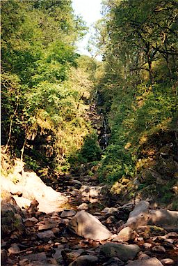 n8.jpg (44965 octets)